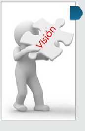 Vision